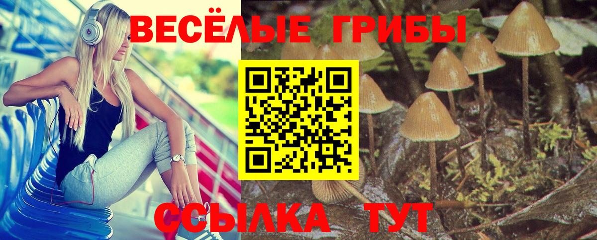 закладка  Псилоцибиновые грибы MAGIC MUSHROOMS  Галлюциногенные грибы MAGIC MUSHROOMS  Вход с VPN  Тихвин 